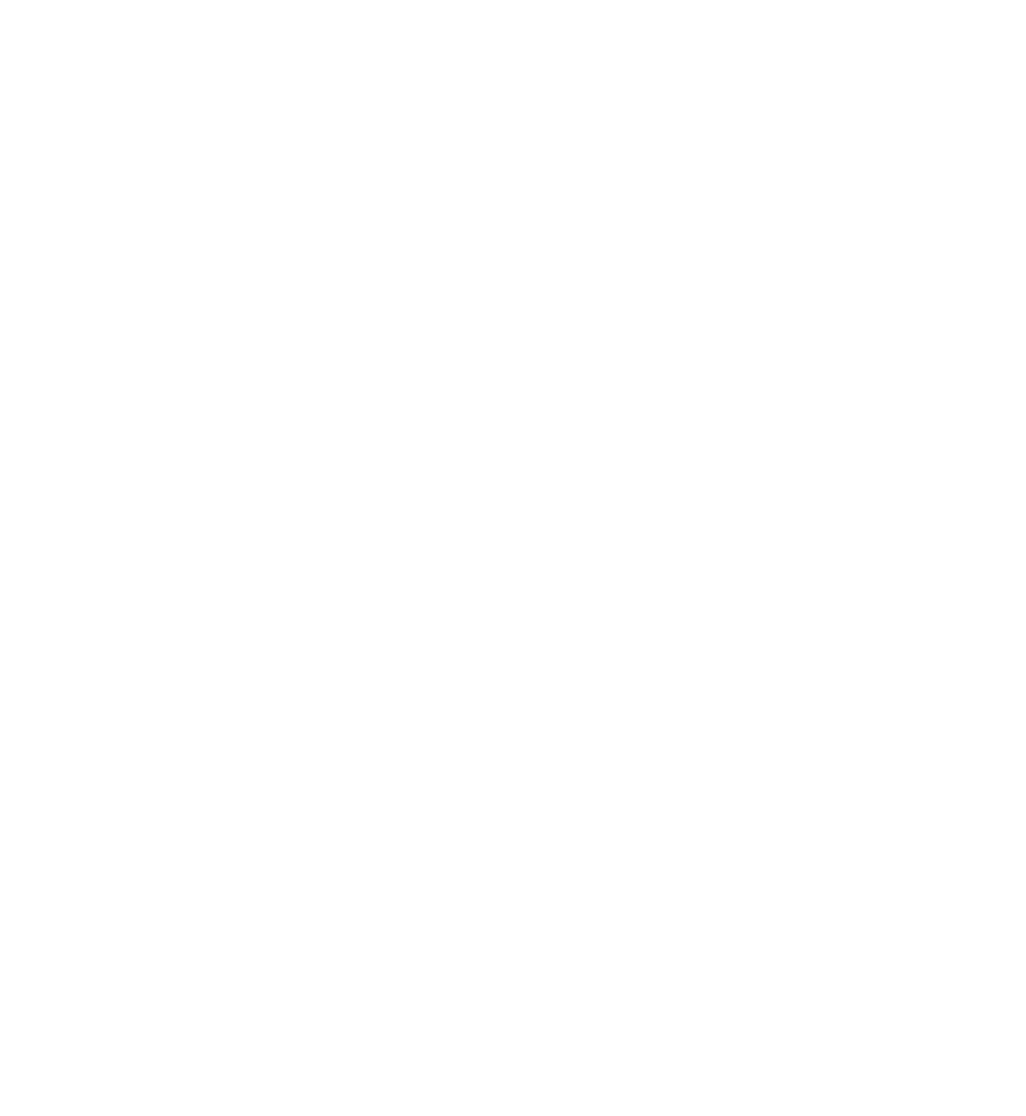 Logo de l'association les fées papillons à Mâcon