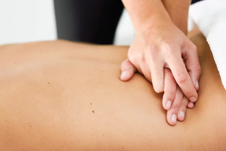 shiatsu, Association les fées papillons