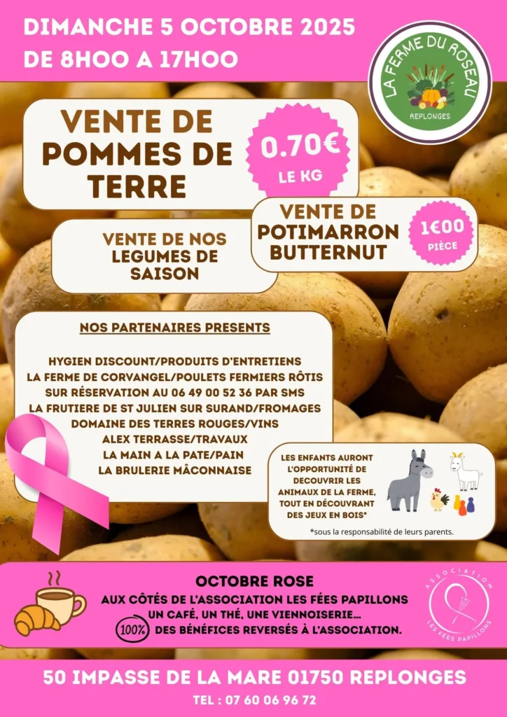 Octobre Rose, Les Fées Papillons