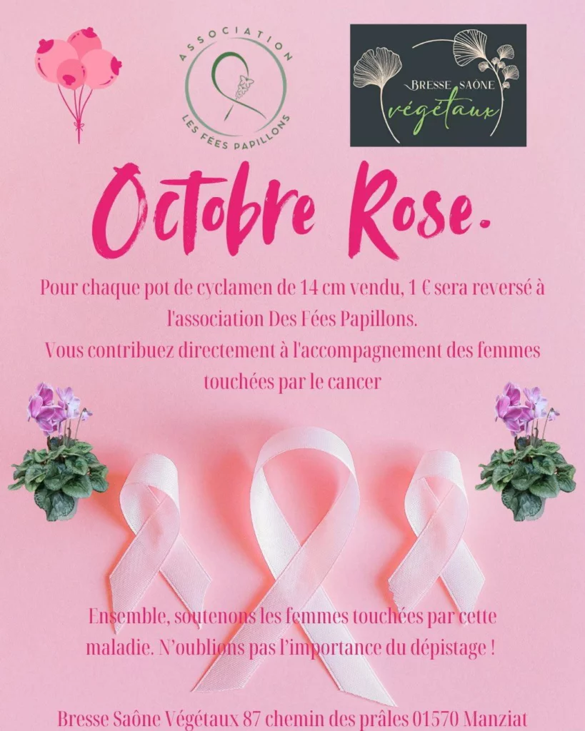 Octobre Rose, Les Fées Papillons
